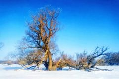看见塔城┋铺展在春天里的如画雪景
